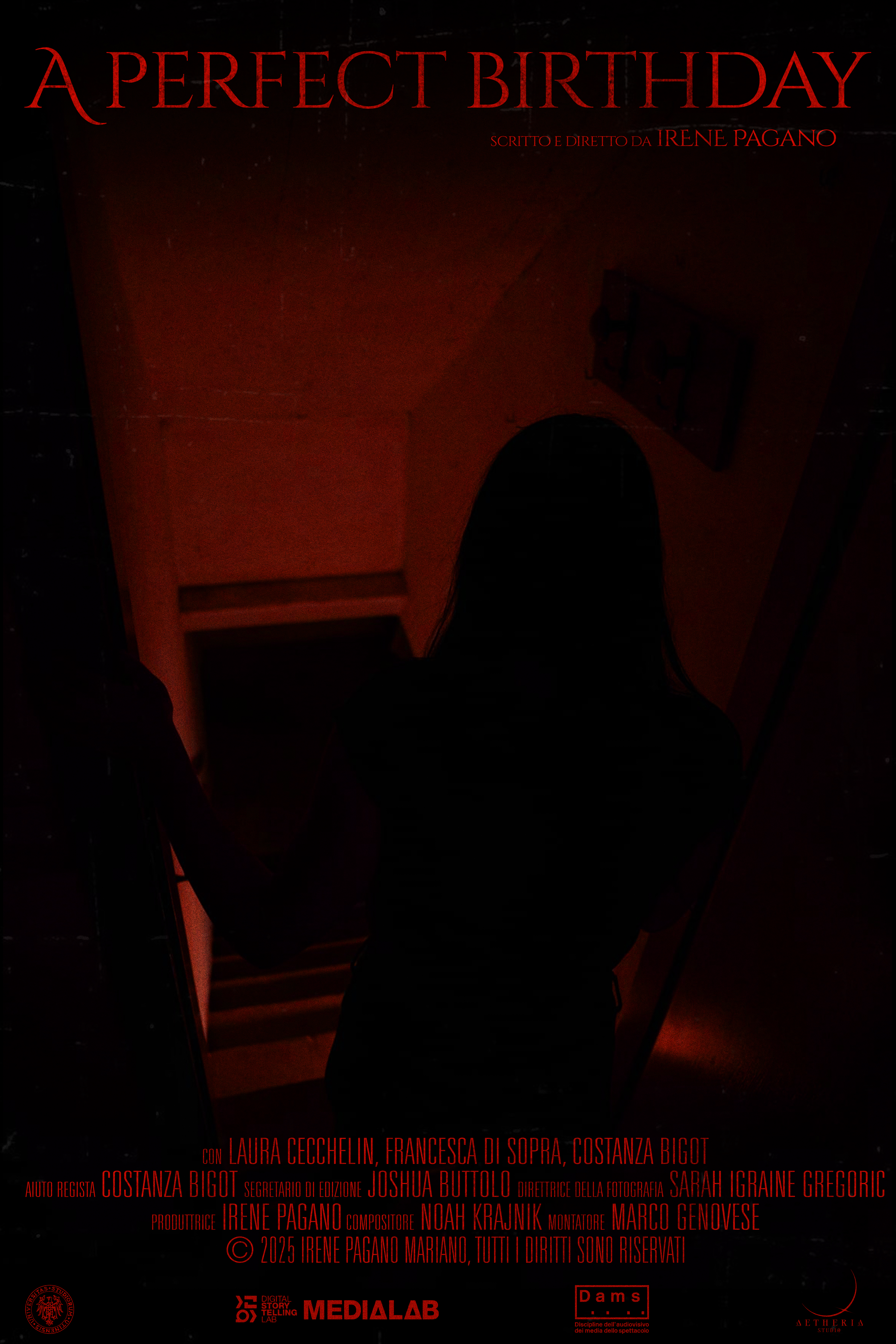 Poster A Perfect Birthday